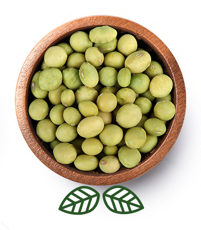 Grüne Edamame Bohnen (500g)