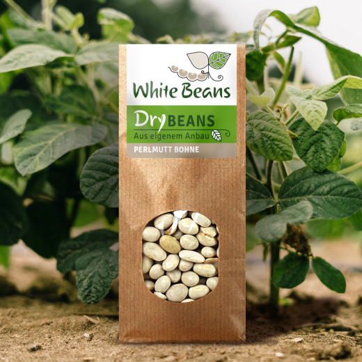 White Bean (500g)
