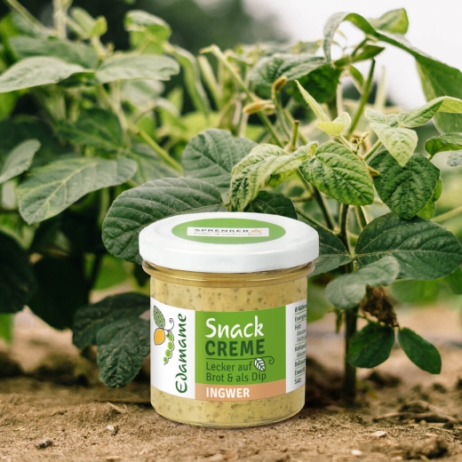 Edamame Snack Creme - Ingwer (140g)