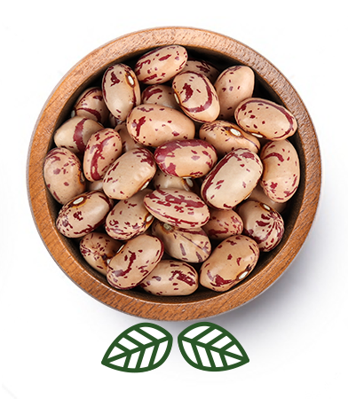 Borlotti (500g)