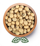 Soja-Bohnen (250g) Soja-Bohnen (250g)