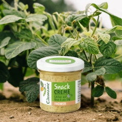 Edamame Snack Creme - Ingwer (140g)